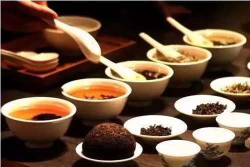 茶韻養(yǎng)生 解鎖普洱茶的保健功效與養(yǎng)生服務(wù)之道