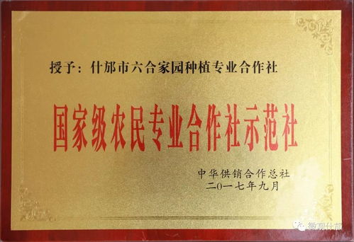 什邡品牌榮獲“中國名優產品養生茶金獎” 養生保健之優選